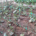 plants support netting15*20cm large trellis mesh for tomato